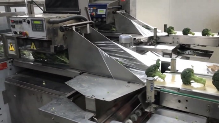 Broccoli inpaklijn